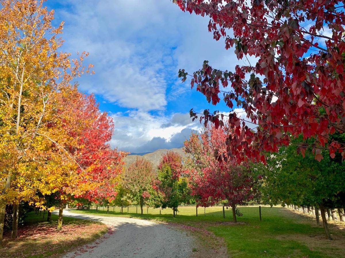 Queenstown Country Lodge Lake Hayes Dış mekan fotoğraf