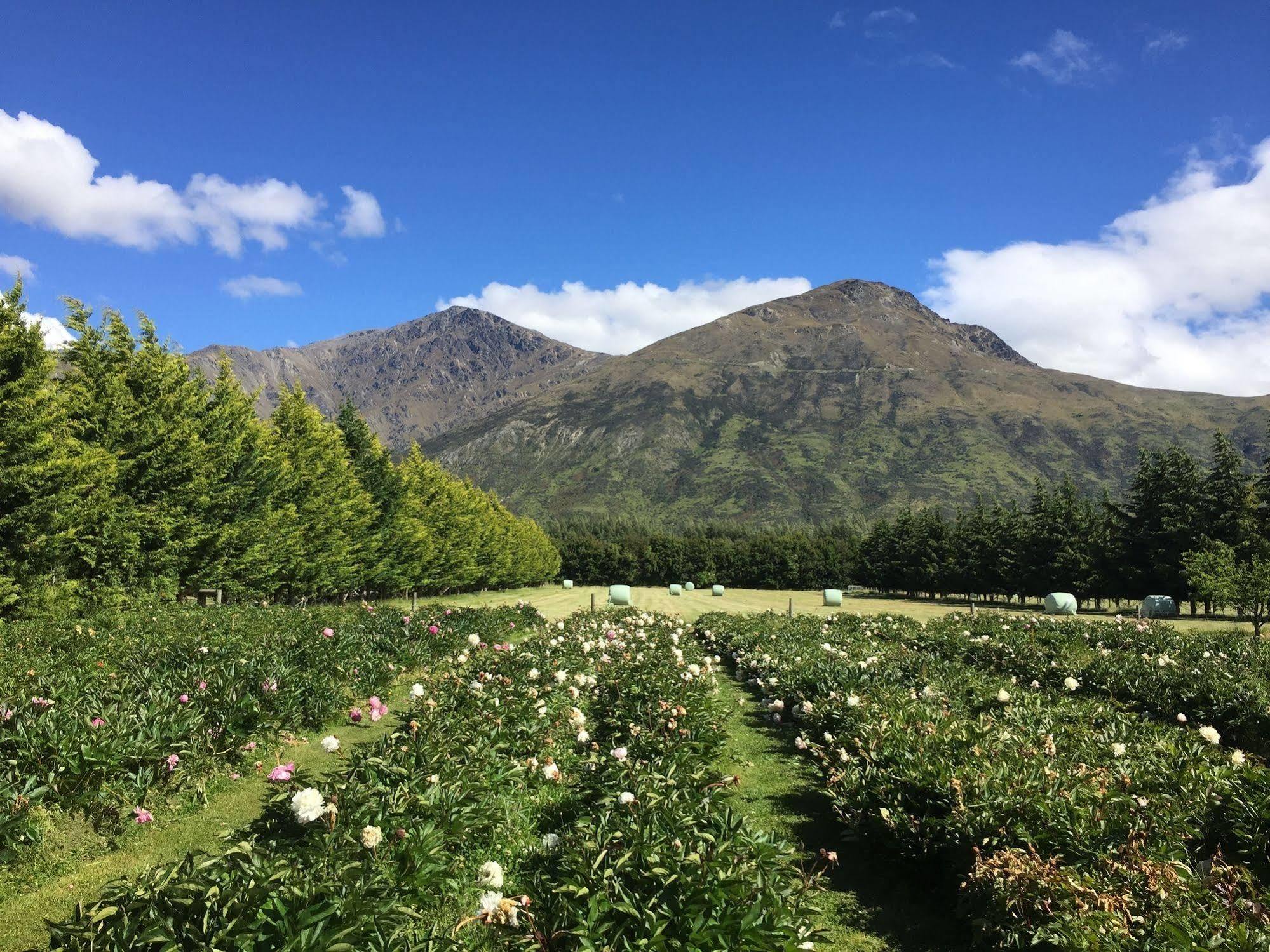 Queenstown Country Lodge Lake Hayes Dış mekan fotoğraf